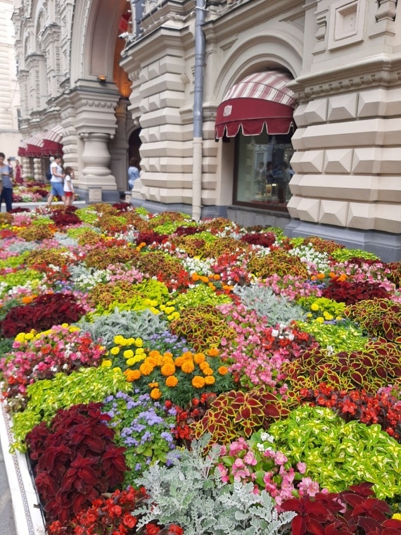 Флудилка: Москва Цветочный джем на Манежной пл