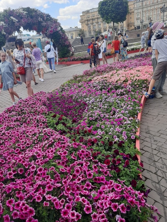 Флудилка: Москва Цветочный джем на Манежной пл