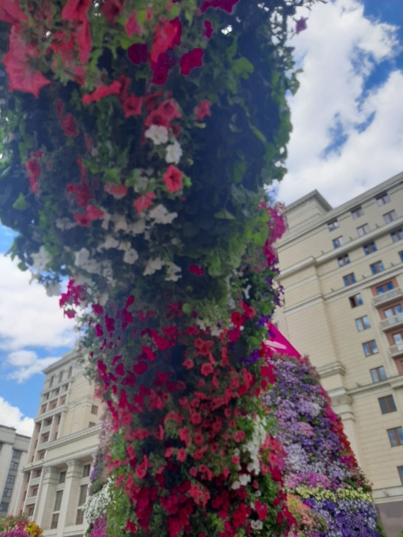 Флудилка: Москва Цветочный джем на Манежной пл