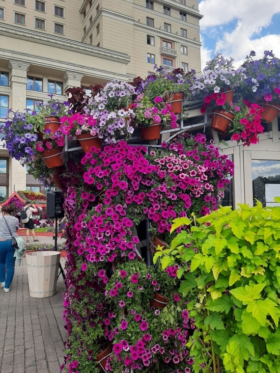 Флудилка: Москва Цветочный джем на Манежной пл