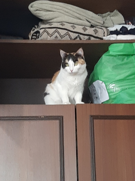 Альбом пользователя HULIGANKA: Кулон Майское небо