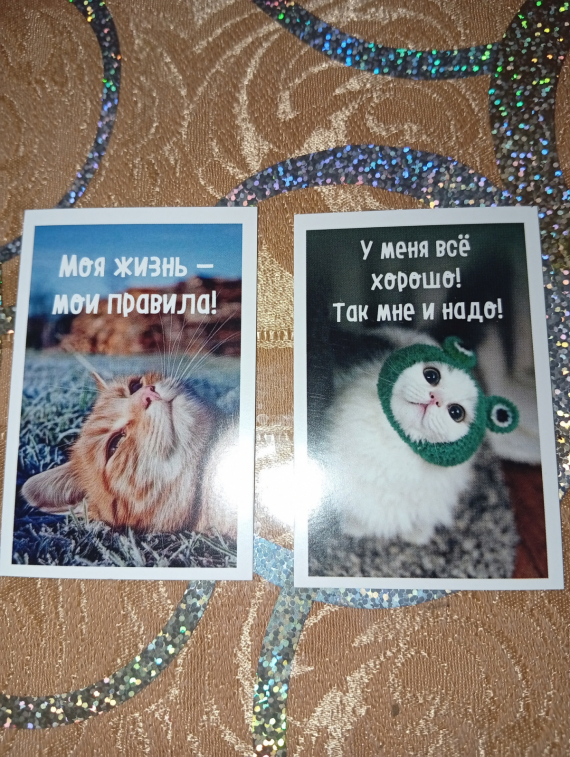 Флудилка: Я теперь Бисерный Рокфеллер