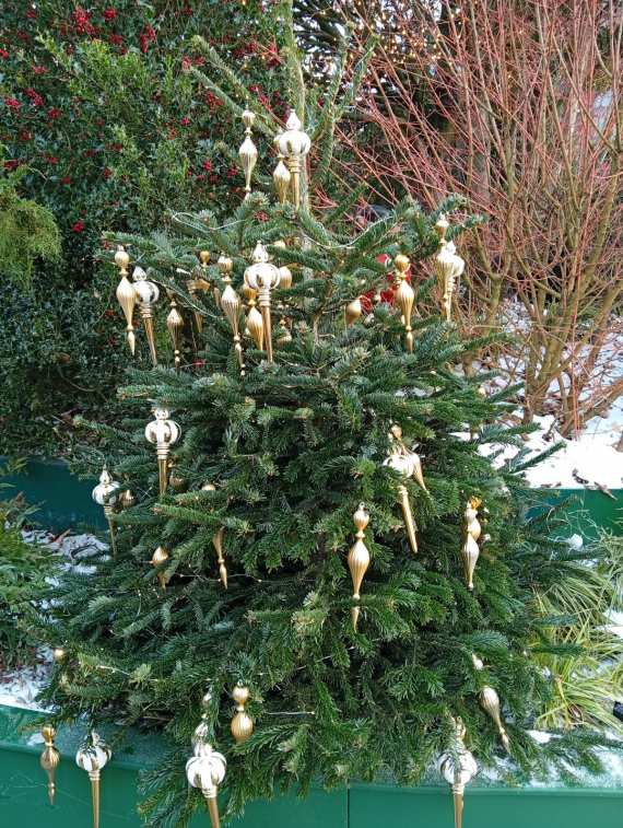 Флудилка: Цвет настроения-красный,Москва,центр