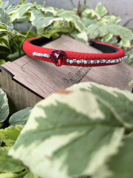 Альбом пользователя ninagri: Ободки