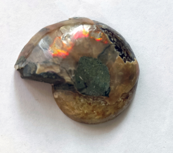 Альбом пользователя МаскаИ: Наутилус