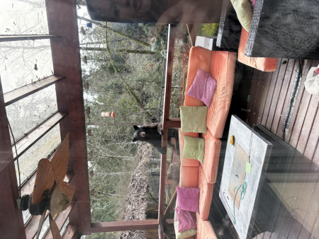 НЕбисерная лавка чудес: Мишка