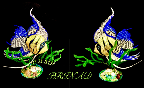 Альбом пользователя Prinad: Скалярия