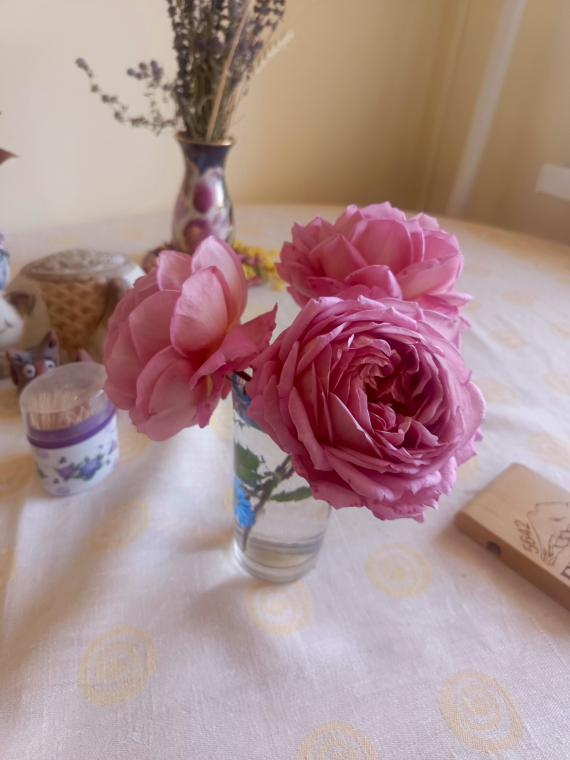 Альбом пользователя Marusa: Последние розы этого года.