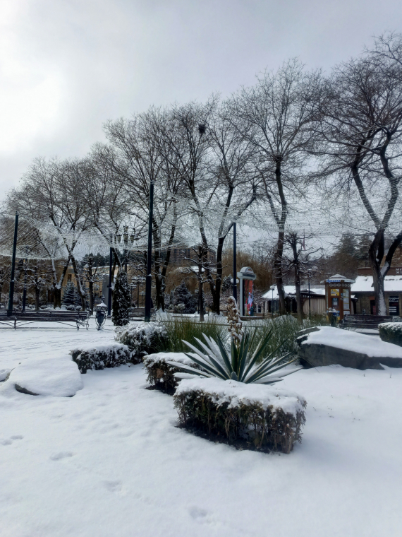 Флудилка: Скоро Новый Год.