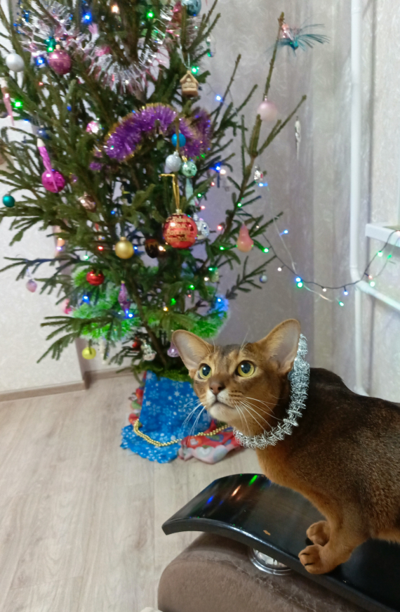 Флудилка: Скоро Новый Год.