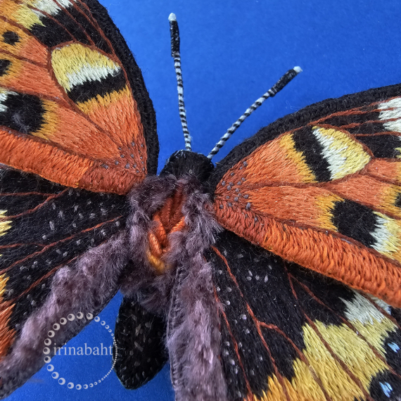 Альбом пользователя ИринаVesna: Бабочка Крапивница