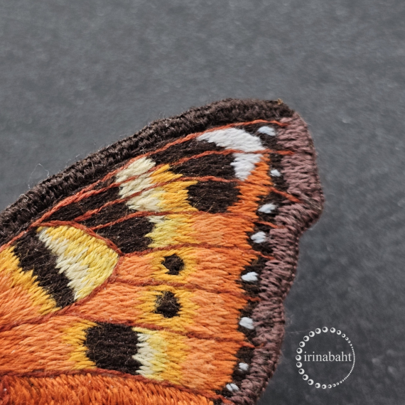 Альбом пользователя ИринаVesna: Бабочка Крапивница