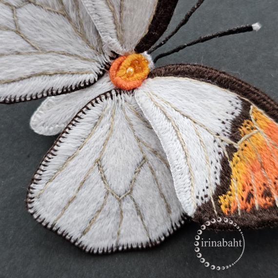 Альбом пользователя ИринаVesna: Бабочка Беляночка