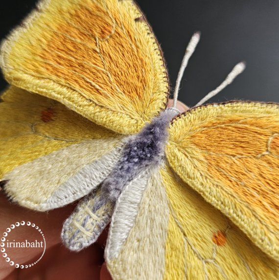 Альбом пользователя ИринаVesna: Бабочка Лимонница