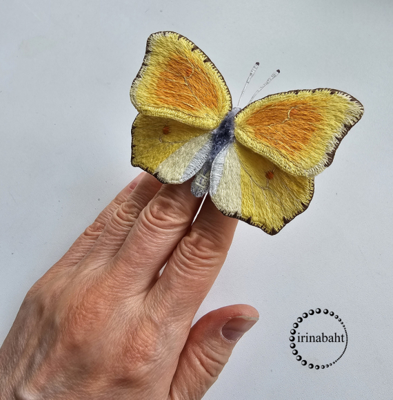 Альбом пользователя ИринаVesna: Бабочка Лимонница