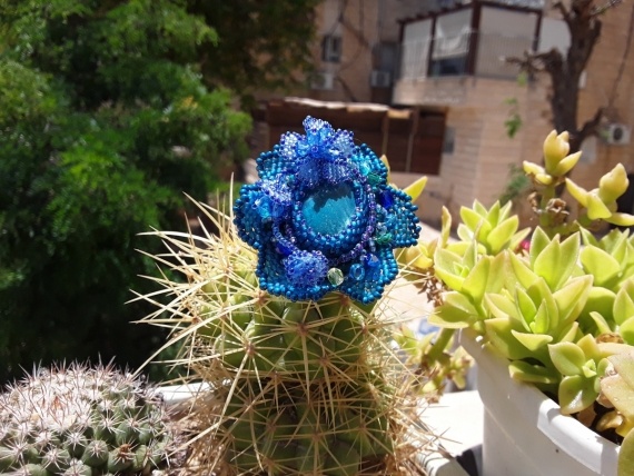 Альбом пользователя Portulaka: Синий цветок
