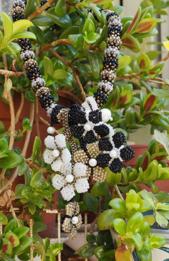 Альбом пользователя Portulaka: Начало августа