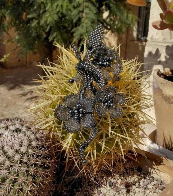 Альбом пользователя Portulaka: Игра с серым