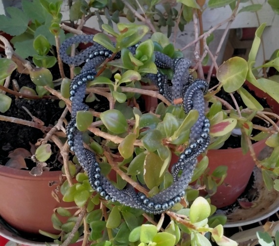 Альбом пользователя Portulaka: Игра с серым