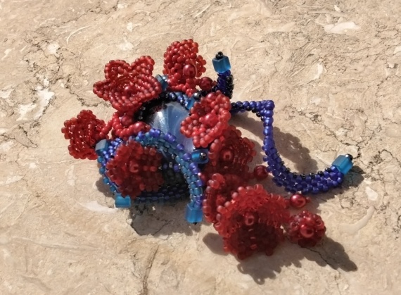 Альбом пользователя Portulaka: Синее море, красные цветы