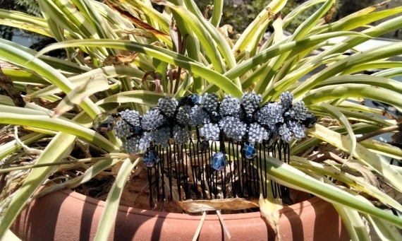 Альбом пользователя Portulaka: Гребень с цветочками