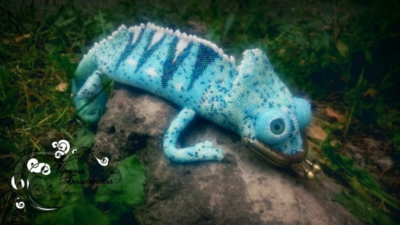 Альбом пользователя klepa90: Charming Chameleon