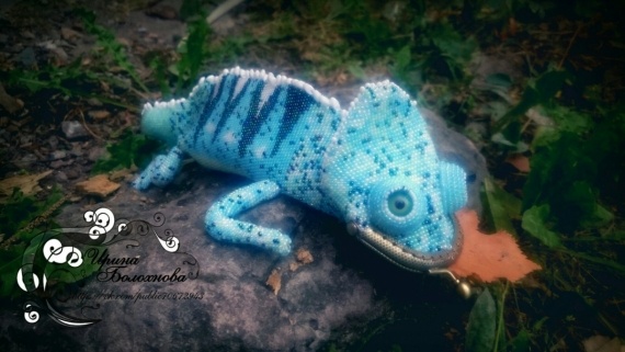 Альбом пользователя klepa90: Charming Chameleon