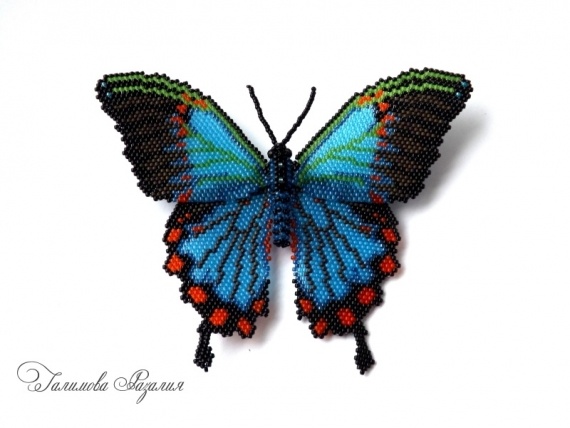 Альбом пользователя Разалия: Бабочка Таинственная красавица