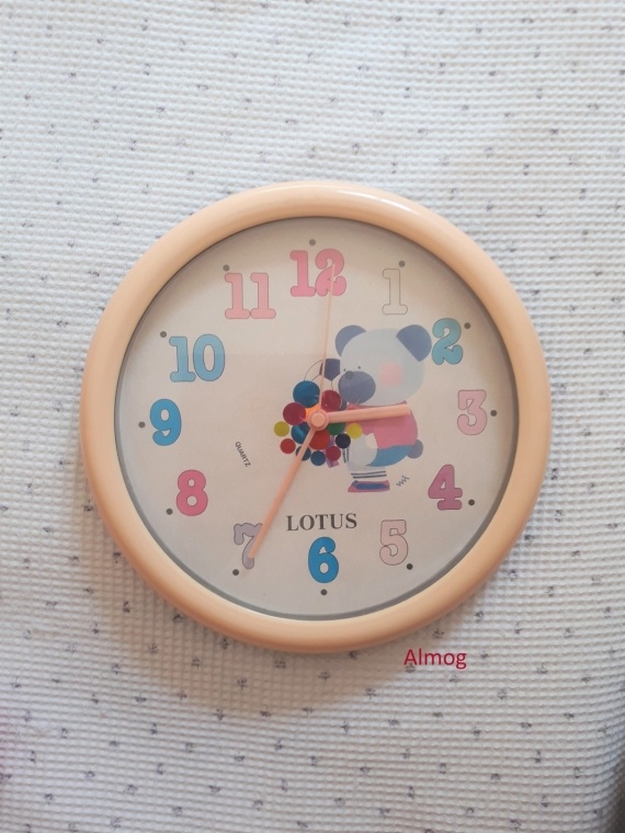 Альбом пользователя almog: часы настенные оплетённые