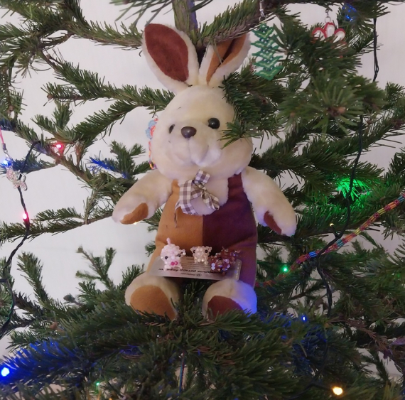 Альбом пользователя LanaGor: Такое большое свинство