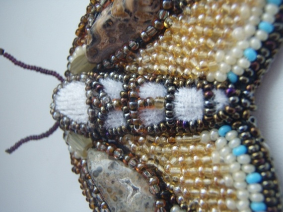 Альбом пользователя еня: Мотылек в оттенках осени