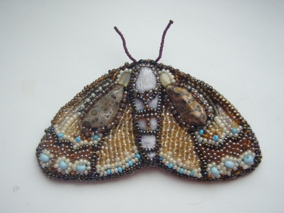 Альбом пользователя еня: Мотылек в оттенках осени