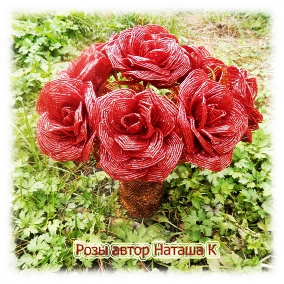 Альбом пользователя Natalibusina: Розы