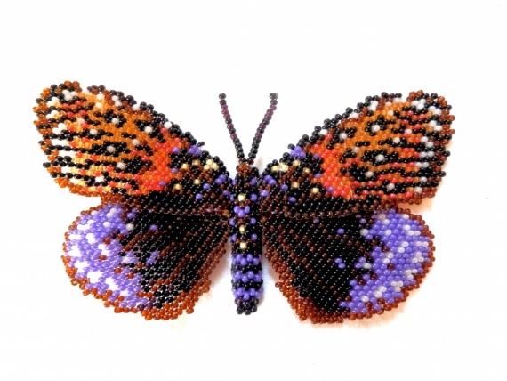 Альбом пользователя Natalibusina: Несколько бабочек