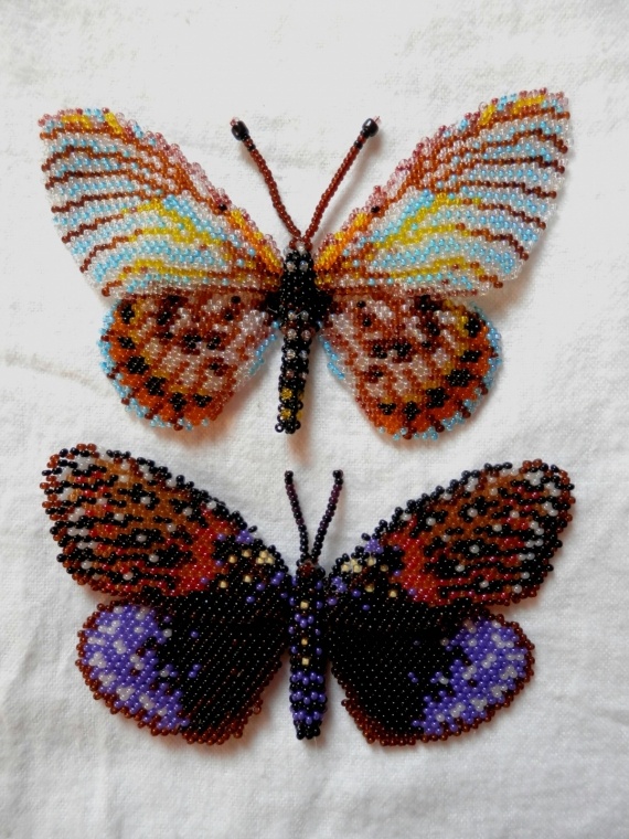 Альбом пользователя Natalibusina: Несколько бабочек