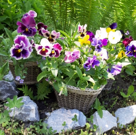 НЕбисерная лавка чудес: Небисерное. Для флэшмоба.