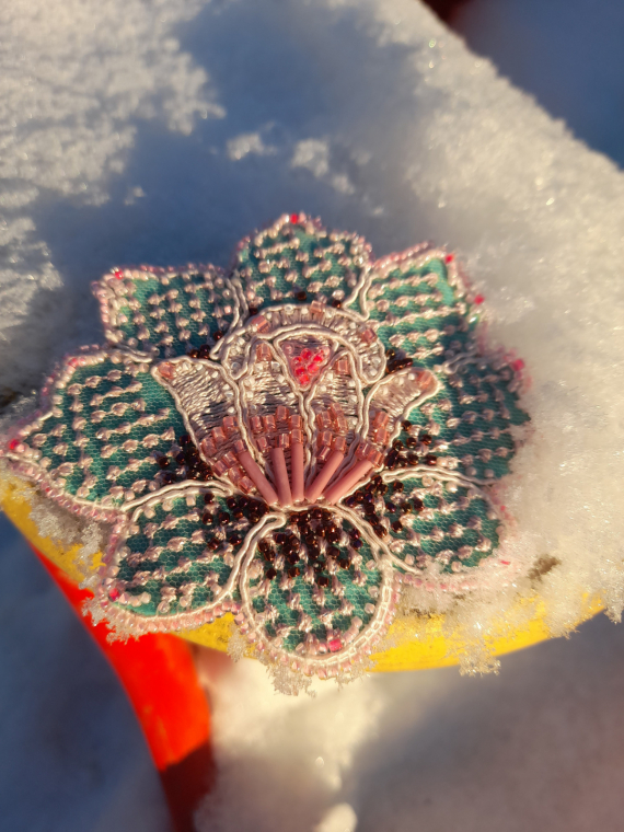 Альбом пользователя latika: цветок26