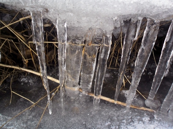 Флудилка: Лёд, просто лёд и снег!