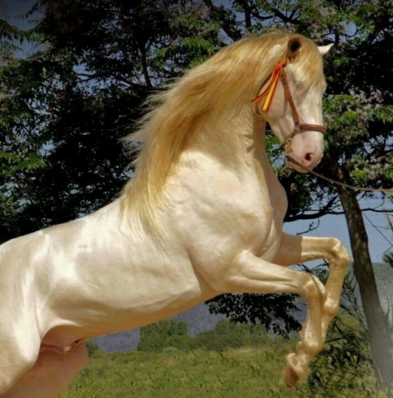 НЕбисерная лавка чудес: Кожаная сумка - Лошадь белая.