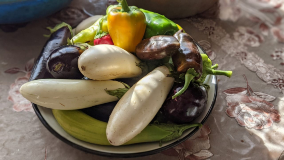 Сад и огород: Мои садово-огородные открытия