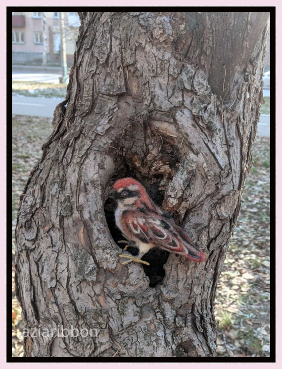 НЕбисерная лавка чудес: Продолжаю осваивать сухое валяние - ПТЫЦ!