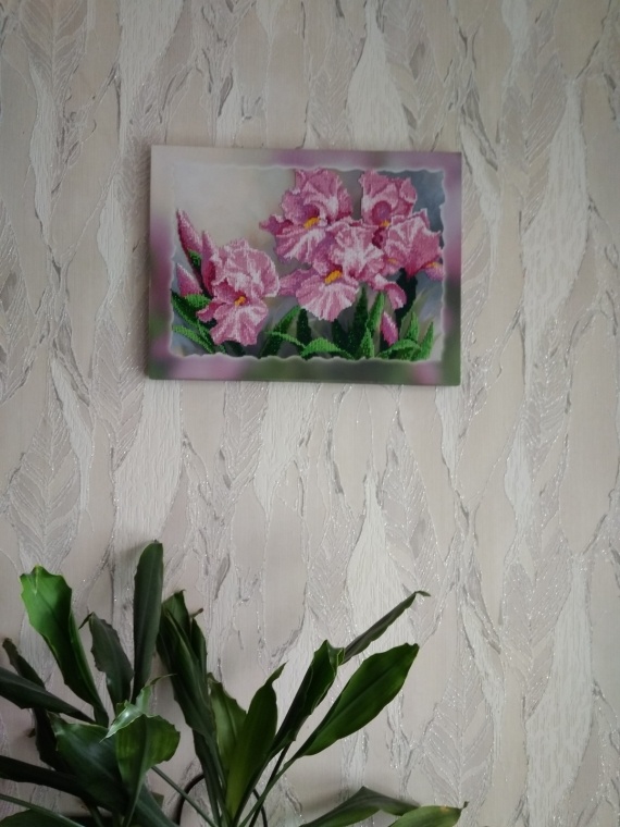 Альбом пользователя zhurka_handmade: Нежные Ирисы