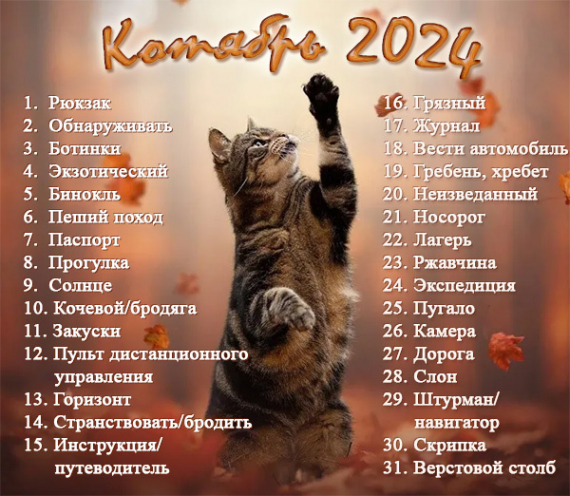 Флешмобы: Котябрь