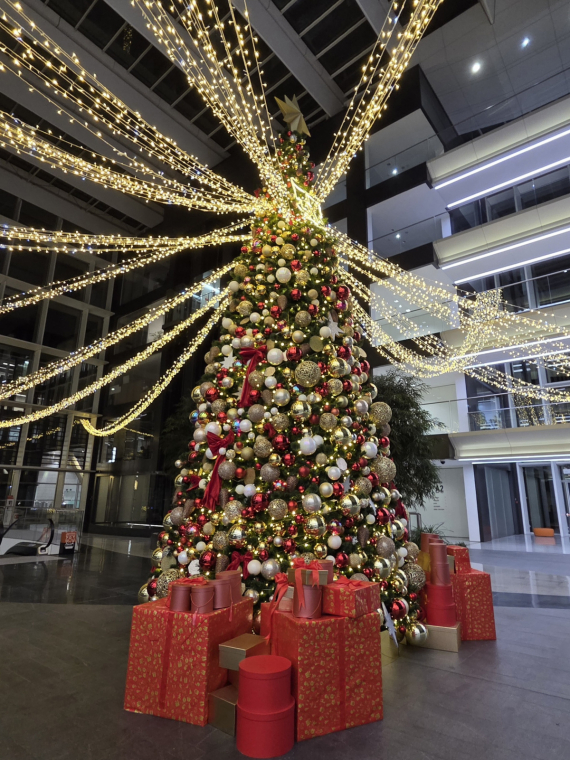 Флешмобы: Итоги флешмоба Моя елка 2026