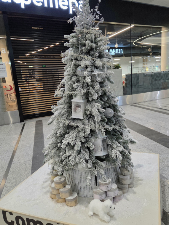 Флешмобы: Итоги флешмоба Моя елка 2026