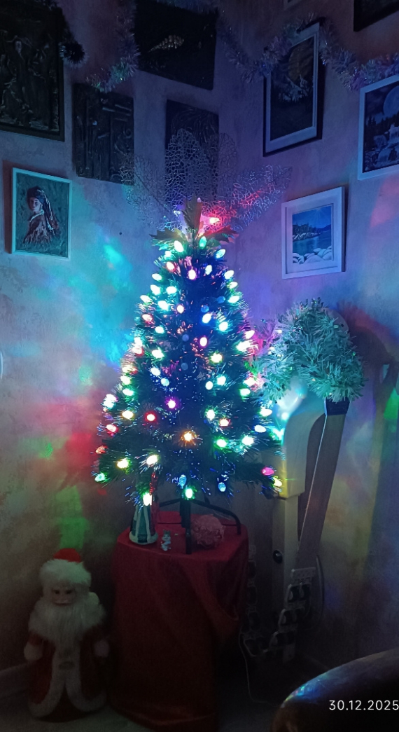 Флешмобы: Итоги флешмоба Моя елка 2026