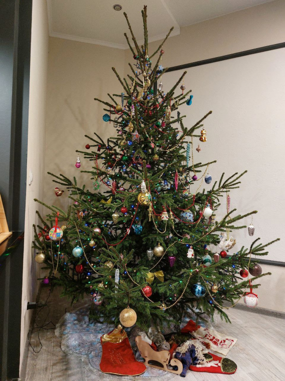 Флешмобы: Итоги флешмоба Моя елка 2026