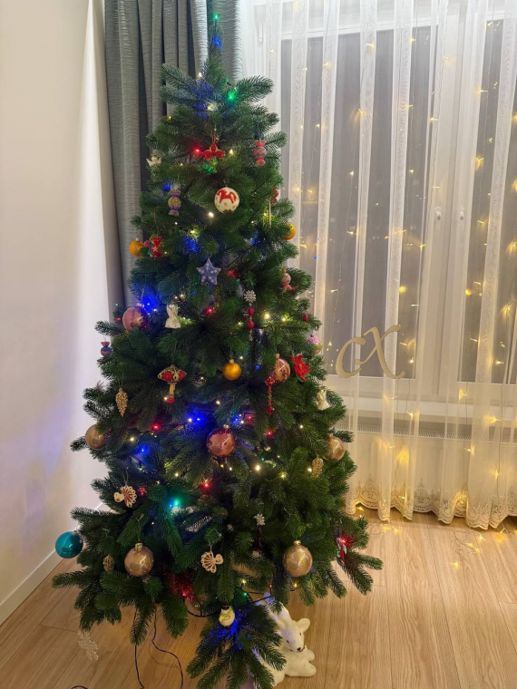 Флешмобы: Итоги флешмоба Моя елка 2026