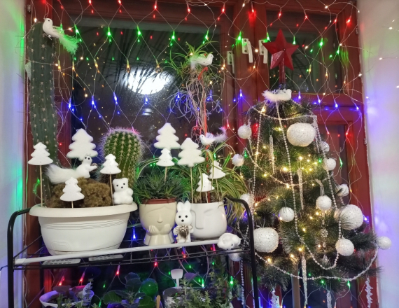 Флешмобы: Итоги флешмоба Моя елка 2026