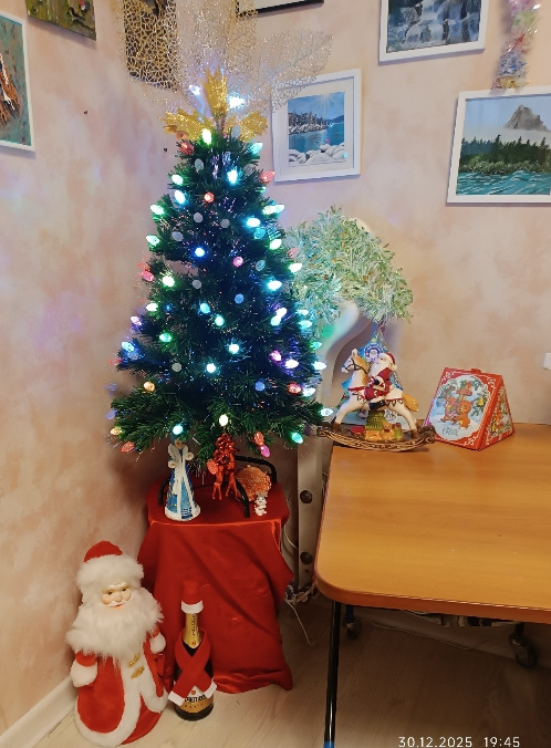 Флешмобы: Итоги флешмоба Моя елка 2026